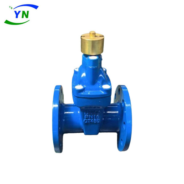 Magnetic Ductile Iron Elastic Seat Sealing Gate Valve