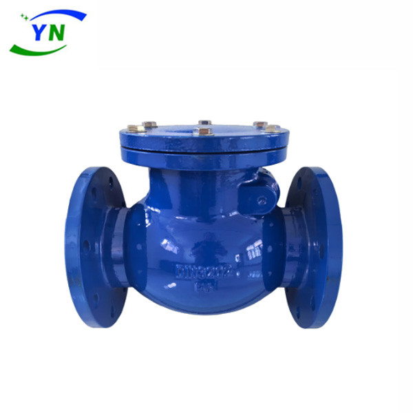 Swing Check Valve